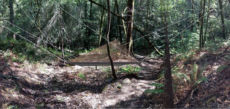 Floating Meditation Platform in the Forest